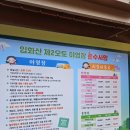 돌고래오토캠핑장2 | 울산 중구 입화산 제2오토캠핑장 후기