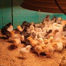 청계3로 이미지