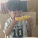 손자🙅‍♂️ 예요4살~ㅋㅋㅋ 이미지