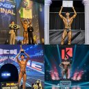 성암부분정비 | [대회리뷰] WNGP 화성X파이널 스포츠모델 프로 후기