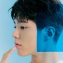 블루버드(Blue bird) 이미지