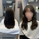 냉림로 | 상주머리잘하는곳 포인헤어 그레이스펌 솔직후기