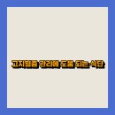 고지혈증의 이해와 관리 이미지