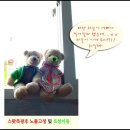 플래쉬 Daum카페