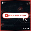어반인사이트