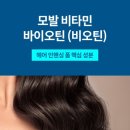 헤어폼 이미지