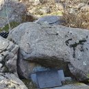 청산리 전투부터 자유시 참변까지, 북로군정서 출신 강근호를 모셨던 모정원