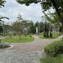 도시와숲 | 산책로 추천, 새롭게 재탄생한 처인구 포곡 도시숲 다녀온 힐링 후기!