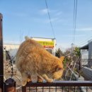 반곡동 작은동물병원 이미지