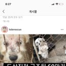 직전농장 이미지