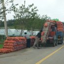 우전 태양광발전소 이미지