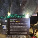 브라운도트 시청점 이미지