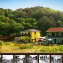 편백나무펜션2 이미지