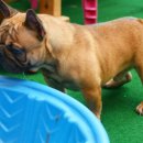 ZANYCAMP(재니캠프) 이미지