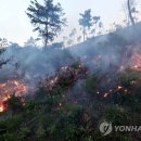 혜풍 속의 봄 나들이 이미지