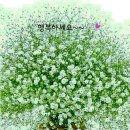 장안2동 주민센터 이미지