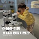 마르멜로스튜디오 | 아이와 국립호남권생물자원관 야외 놀이터부터 실내 전시관까지 이용한 후기.