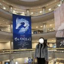 29170-1-B-11 | 행방불명 오리지널 투어 공연 관람 후기, 예술의전당 오페라극장, 1층 B블록 11열 시야, 내돈내산 후기