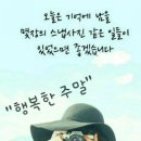 자연건강원 이미지