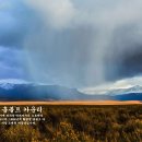(주)훔볼트