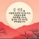 보떼리아헤어 이미지