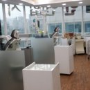 마루치과병원 이미지