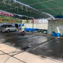프로카 모터스 이미지