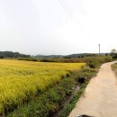 갈곡천농장 네이버블로그