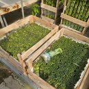 삼신초등학교 이미지