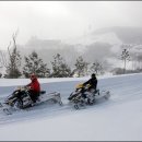 하얀천국 이미지