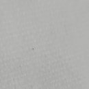 스텔라(Stella) 이미지