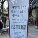 부산보돌어묵 | 부산 바다 절 해동용궁사, 다시 찾게 되는 이유