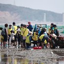 마시안갯벌체험장 이미지
