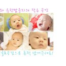 수인네