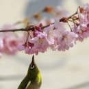 배화학교 이미지