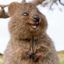 인터가이 | [호주워홀+13~14] 뭐라도 해야 무슨 일이 일어난다. 이사, 트라이얼, 잡 구하기, 요리, 장보기