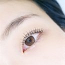 라라속눈썹 - 중구 | 기흥 속눈썹펌 속눈썹연장 라라속눈썹 내돈내산 후기
