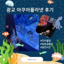 공주-45 | 플라넷 광교 6개월·45개월 아이와 다녀온 후기｜주차 꿀팁·입장권 할인·인어공주 공연 총정리 🧜🏻‍♀️