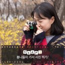 일회용 필름카메라 퀵스냅 현상 후기 (롯데월드몰 헬로그래피)