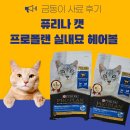 그루밍시즌 | 금동이 사료 후기 / 퓨리나 캣 프로플랜 실내묘 헤어볼 리뷰 (1.5kg)