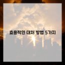 안녕고양이 이미지