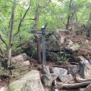 비봉여자 이미지