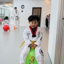 마스터 홍 태권도 이미지