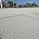 26470-01-21-402 | EP02. 제주 애견동반 김녕 보름살이 | 비밀의숲, 이춘옥 고등어쌈밥, 카페씨닉, 바다는김녕, 김녕해수욕장