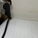 김해매트리스청소 꼼꼼한 매트리스소파카페트새로클린 청소 후기