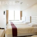 호텔 코지 명동 | [명동/호텔] 호텔코지명동 서울 도심 속 힐링 공간 하루의 피로가 사라지는 호텔