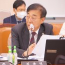 더화이트의원 이미지