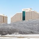 소노문 단양 네이버블로그