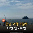 태안휴게소 | 충남여행 당진 서산 태안 3일차 연포해변 행담도휴게소 마지막 후기