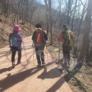 중리2 Daum카페